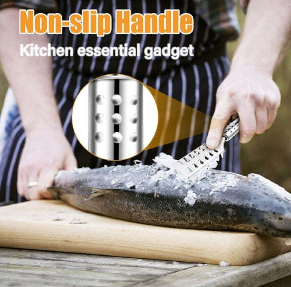 Stainless Steel Fish Scaler Brush - Efficient Scales Scraper, Skin Remover Tool