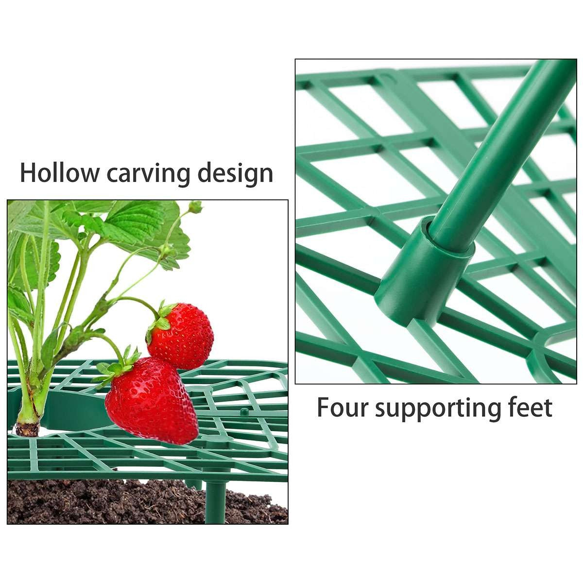 5 Pack Strawberry Supports Garden Fruit Plant Cage Holder Plastic Tray Cradles