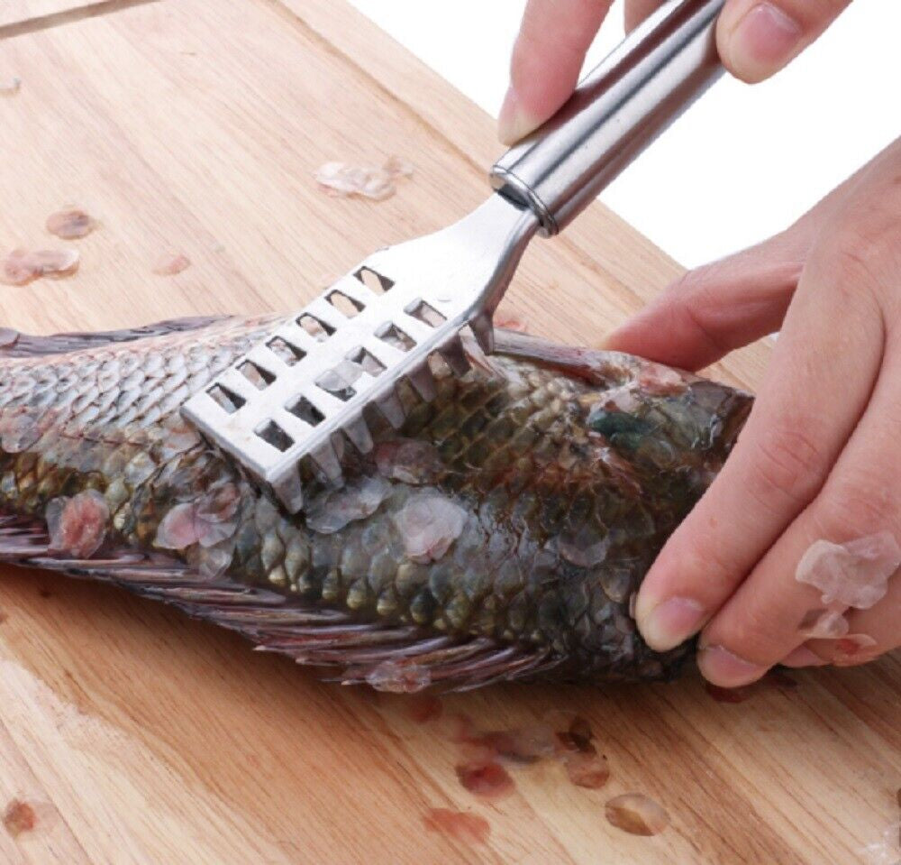 Stainless Steel Fish Scaler Brush - Efficient Scales Scraper, Skin Remover Tool