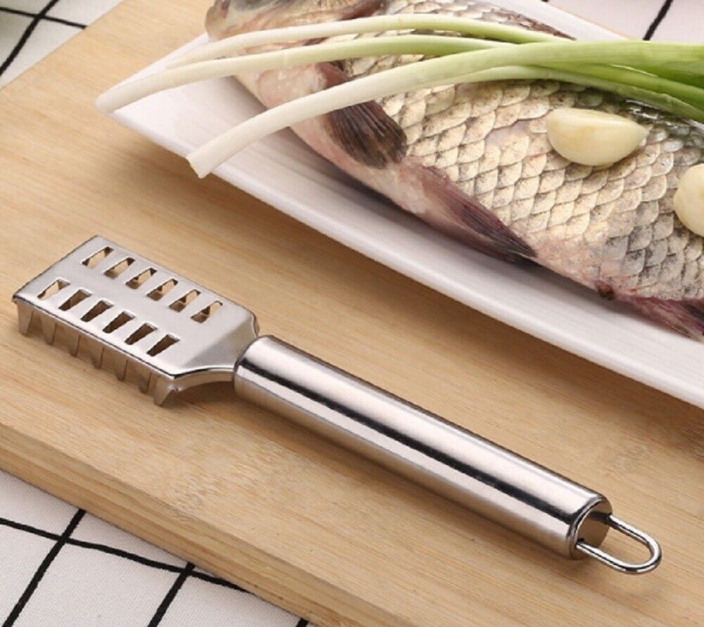 Stainless Steel Fish Scaler Brush - Efficient Scales Scraper, Skin Remover Tool