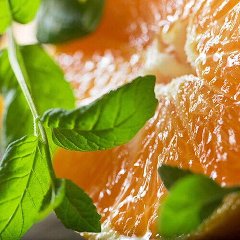 Watermint & Clementine Soy Candle, Spring Candle, Fruity Candle, Summer Candle