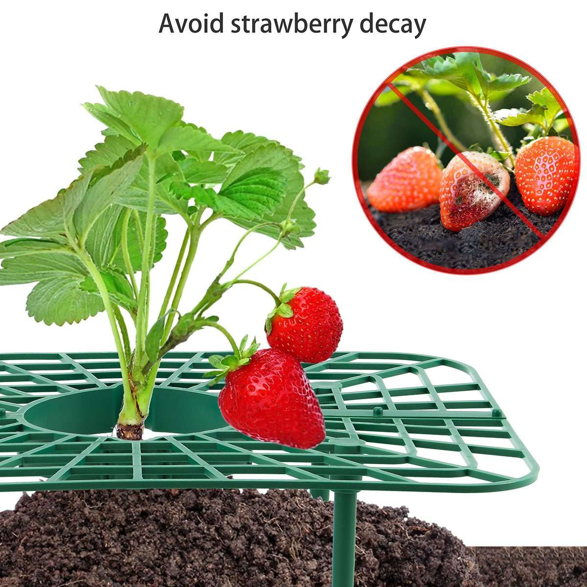 5 Pack Strawberry Supports Garden Fruit Plant Cage Holder Plastic Tray Cradles