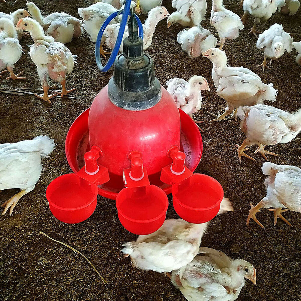 US 10 Pc Automatic Poultry Water Cups Drinker Chicken Duck Goose Turkey Quail
