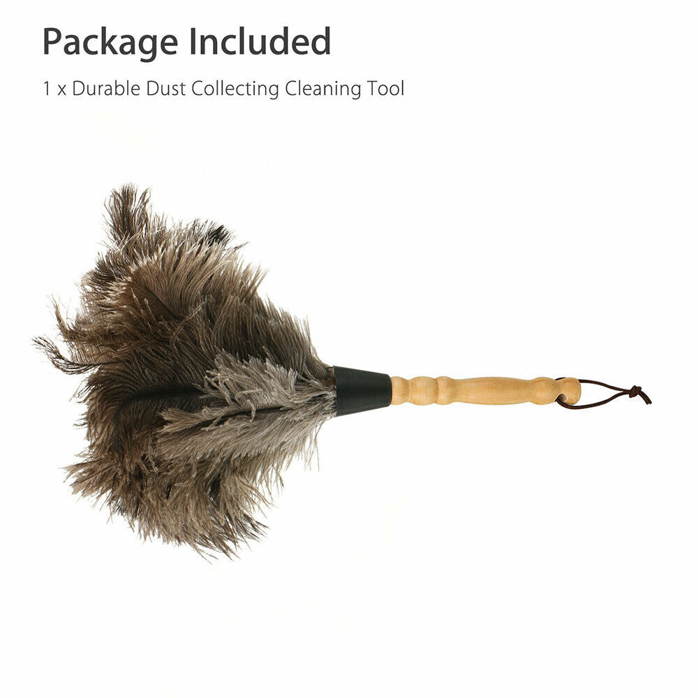 13" Ostrich Feather Duster – Ultra-Soft, Durable Dust Collector for Easy Cleaning, Lightweight & Reusable for Home, Office, Car & Wool Shop!