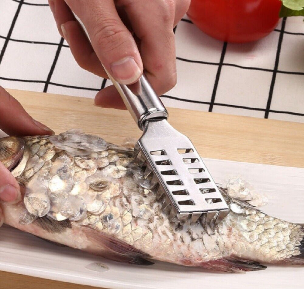 Stainless Steel Fish Scaler Brush - Efficient Scales Scraper, Skin Remover Tool
