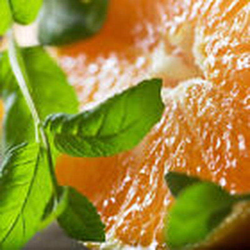 Watermint & Clementine Soy Candle, Spring Candle, Fruity Candle, Summer Candle
