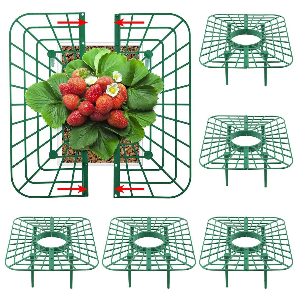 5 Pack Strawberry Supports Garden Fruit Plant Cage Holder Plastic Tray Cradles