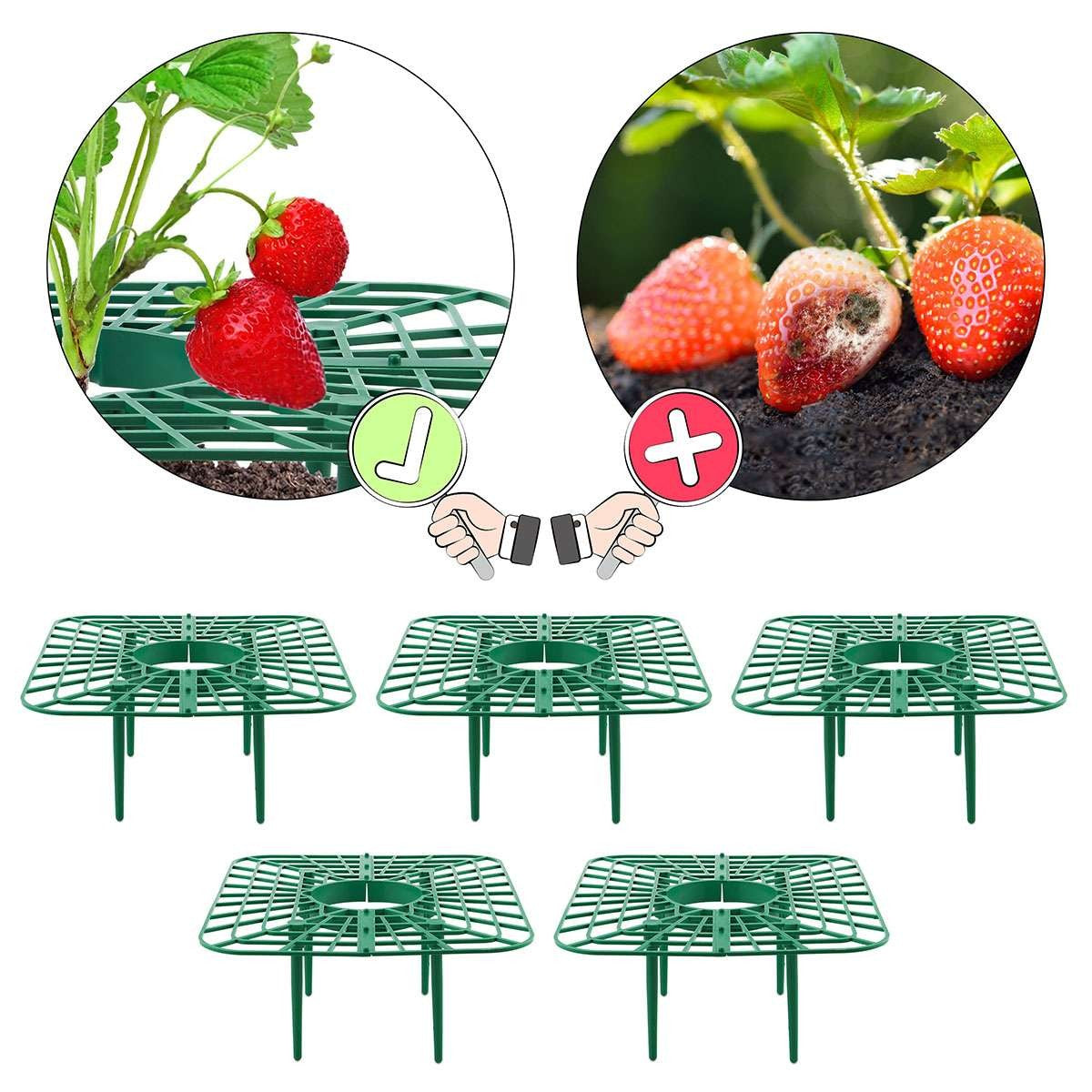 5 Pack Strawberry Supports Garden Fruit Plant Cage Holder Plastic Tray Cradles
