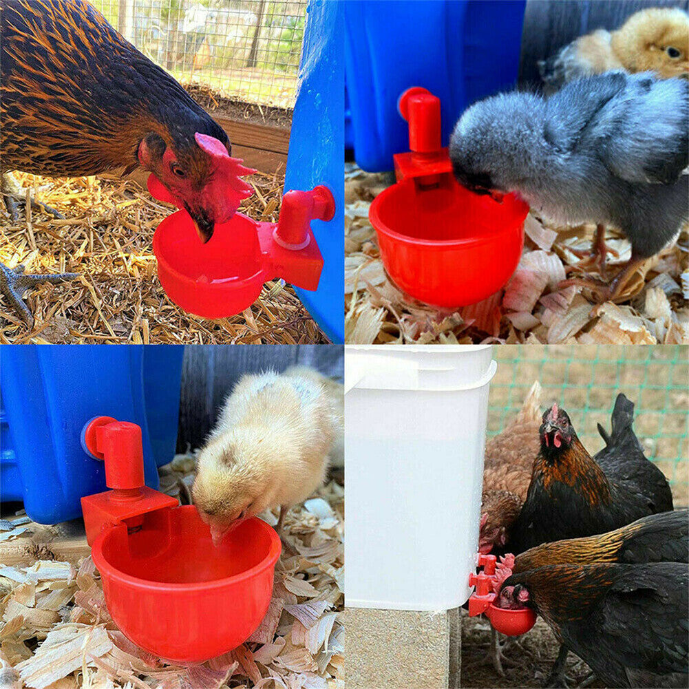 US 10 Pc Automatic Poultry Water Cups Drinker Chicken Duck Goose Turkey Quail