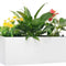 Self Watering Planter Box 20" – Indoor Outdoor Rectangle Pot with Coco Coir Soil, Water Level Indicator, Modern Decorative Flower & Herb Garden