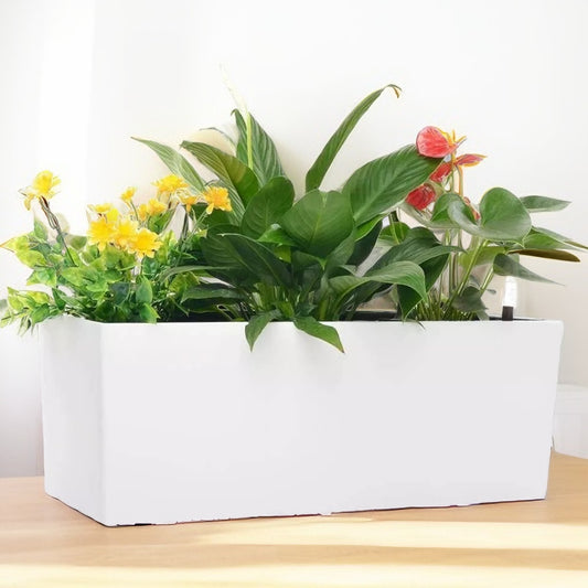 Self Watering Planter Box 20" – Indoor Outdoor Rectangle Pot with Coco Coir Soil, Water Level Indicator, Modern Decorative Flower & Herb Garden