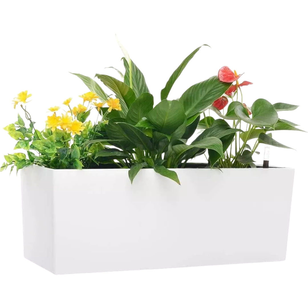 Self Watering Planter Box 20" – Indoor Outdoor Rectangle Pot with Coco Coir Soil, Water Level Indicator, Modern Decorative Flower & Herb Garden
