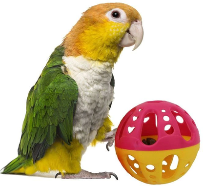 Medium Bird Foot Toy with Balls