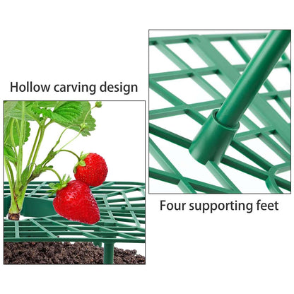 5 Pack Strawberry Supports Garden Fruit Plant Cage Holder Plastic Tray Cradles