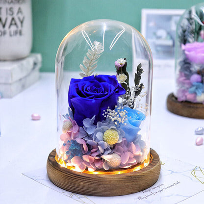 Eternal Flower Rose in Glass Dome with LED Light, Decorative Rose Valentine's Day, Anniversaries Birthdays Gift Romantic Ornaments Wooden Fruit Plants