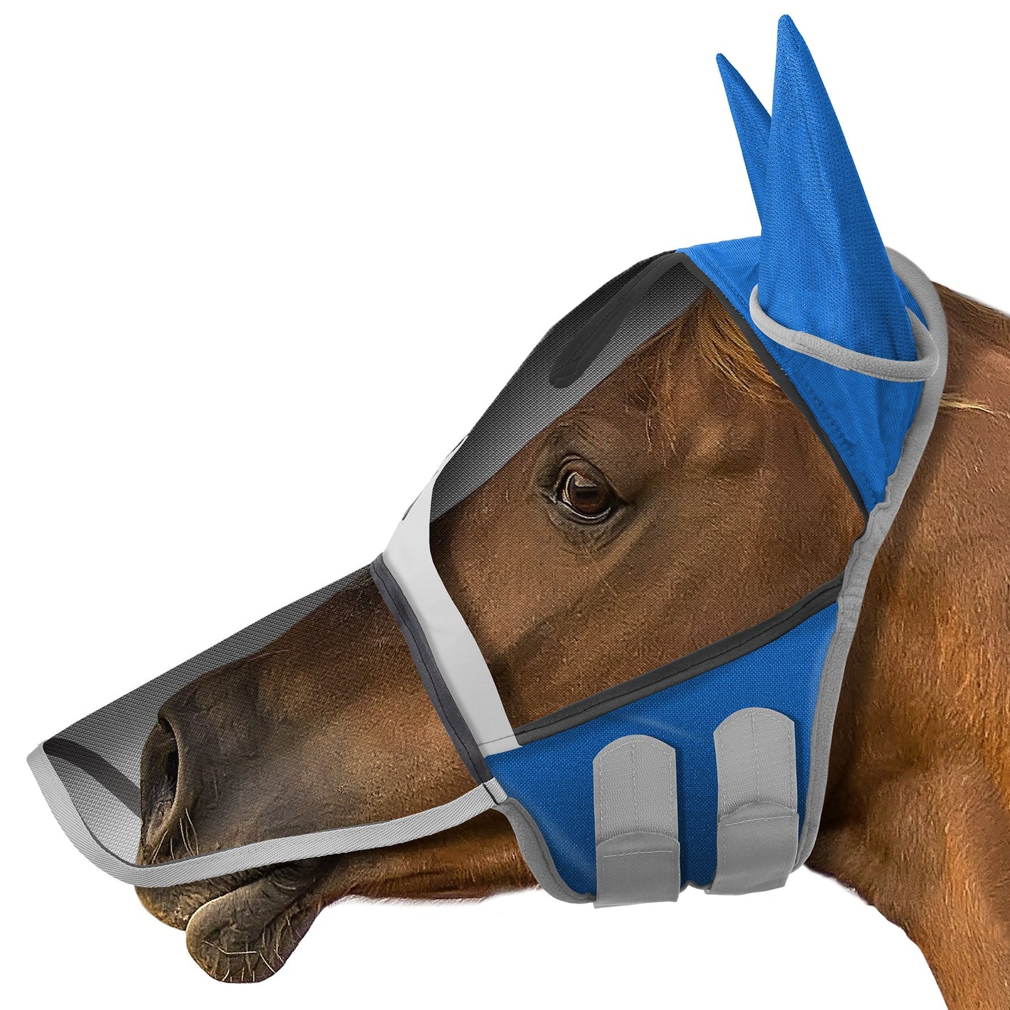 Horse Fly Mask with Long Nose – Equine Ear Protection, Fine Mesh, UV Protection for Horses | Comfortable, Breathable, Essential Summer Gear for Your Horse