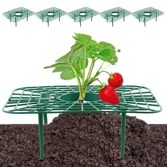5 Pack Strawberry Supports Garden Fruit Plant Cage Holder Plastic Tray Cradles