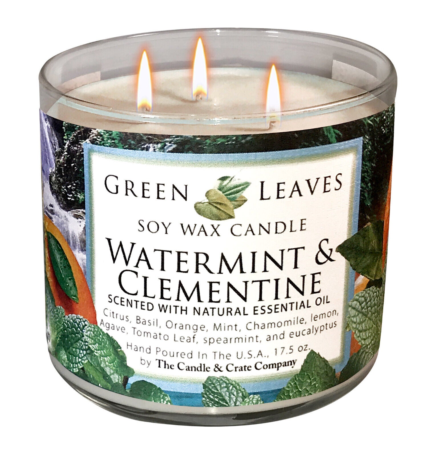 Watermint & Clementine Soy Candle, Spring Candle, Fruity Candle, Summer Candle