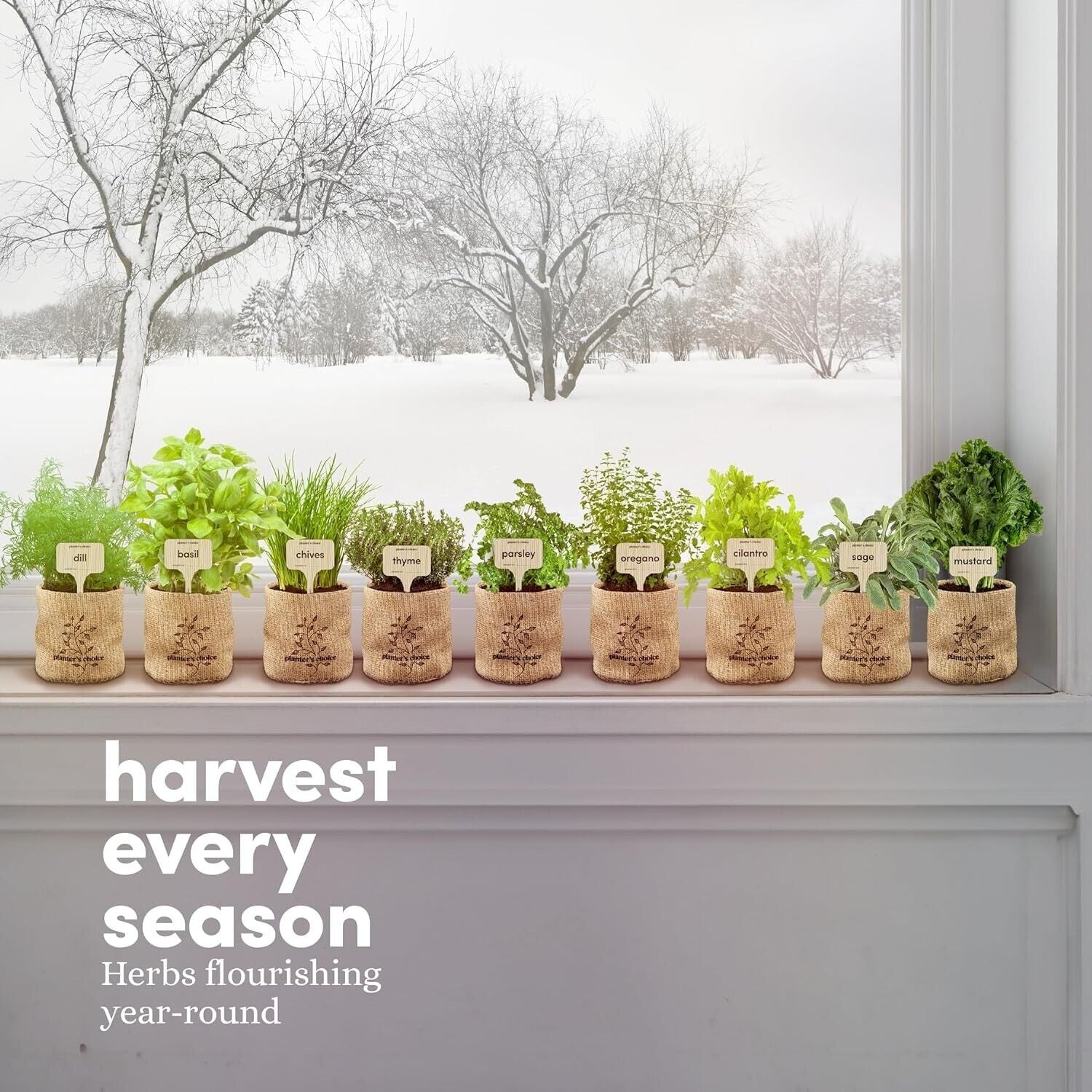 seed starter kit, Herb Garden Kit - Grow 9 Gourmet Herbs Indoors | Easy Starter Kit with Heirloom Seeds, Nutrient Soil & Guide | Perfect Gift for Home