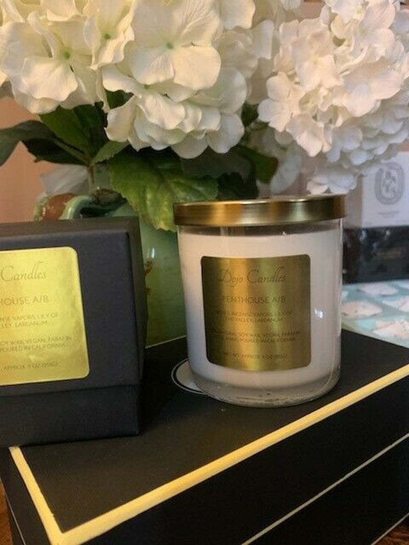 DOJO Penthouse Scented Candle Cire Trudon Spiritus Sancti 9 Oz/255 G Strong Throw Soy Wax Double Wick High-End Home Fragrance Vegan Gift - Freshener