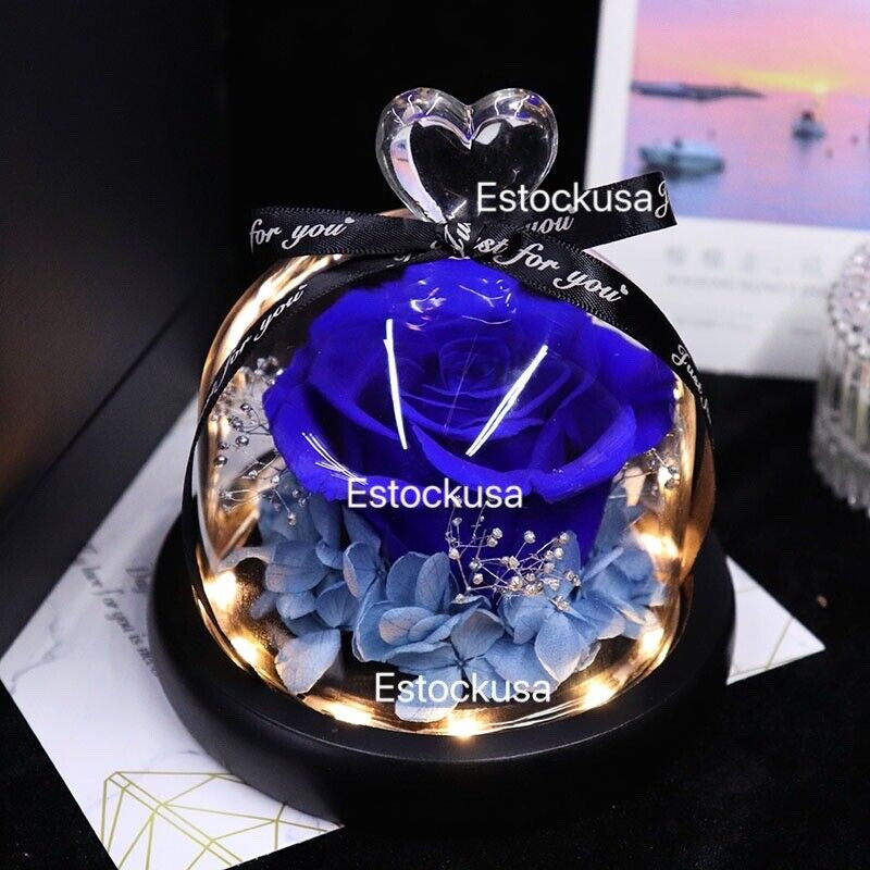 Eternal Flower Rose in Glass Dome with LED Light, Decorative Rose Valentine's Day, Anniversaries Birthdays Gift Romantic Ornaments Wooden Fruit Plants