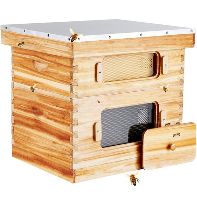 Langstroth Bee Hive Starter Kit, Beekeeping Hive with Transparent Bee Windows & Beeswax Coated Cedar Wood – 20 Frame Durable Outdoor Bee Box 