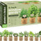 seed starter kit, Herb Garden Kit - Grow 9 Gourmet Herbs Indoors | Easy Starter Kit with Heirloom Seeds, Nutrient Soil & Guide | Perfect Gift for Home