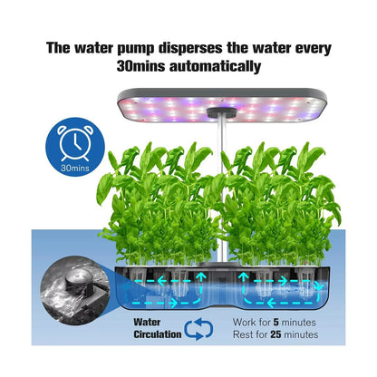 Hydroponics Growing System - 12 Pods, LED Grow Light, Adjustable Height (8-19”), Automatic Timer, Indoor Herb Garden Kit for Vegetables & Fruits