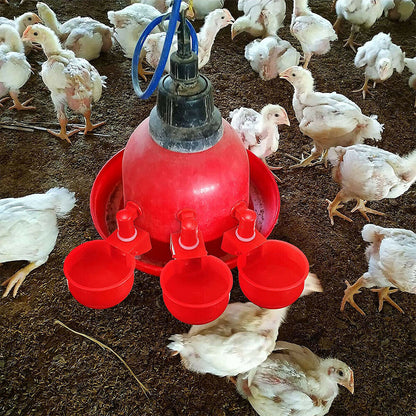 US 10 Pc Automatic Poultry Water Cups Drinker Chicken Duck Goose Turkey Quail