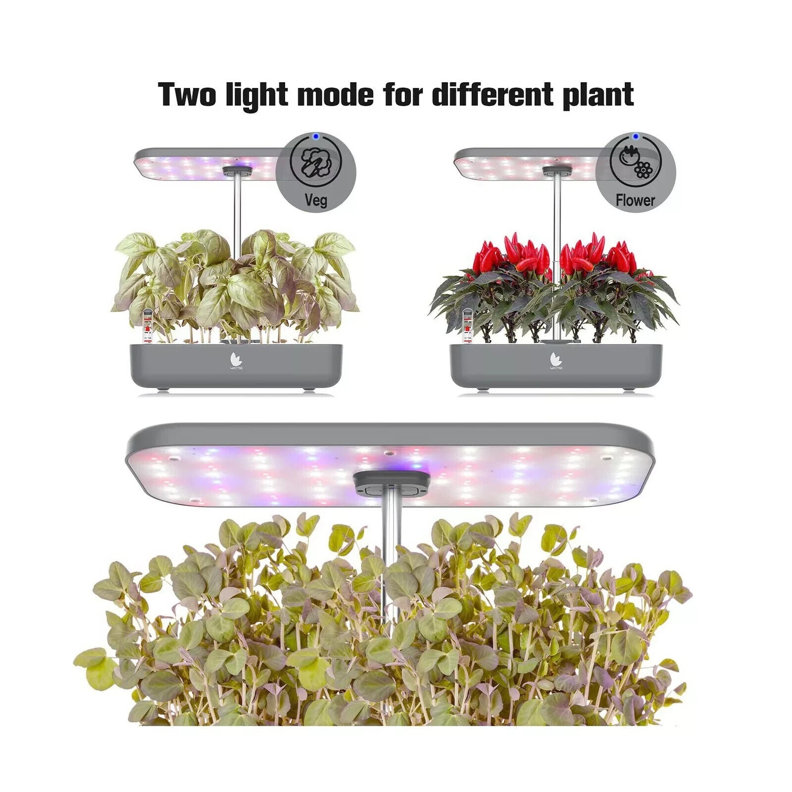 Hydroponics Growing System - 12 Pods, LED Grow Light, Adjustable Height (8-19”), Automatic Timer, Indoor Herb Garden Kit for Vegetables & Fruits