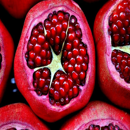 Pomegranate seeds, Dwarf Pomegranate Shrub for Containers & Bonsai - Vibrant Orange-Red Flowers & Fruit, Dry Climates, Perfect for Small Gardens