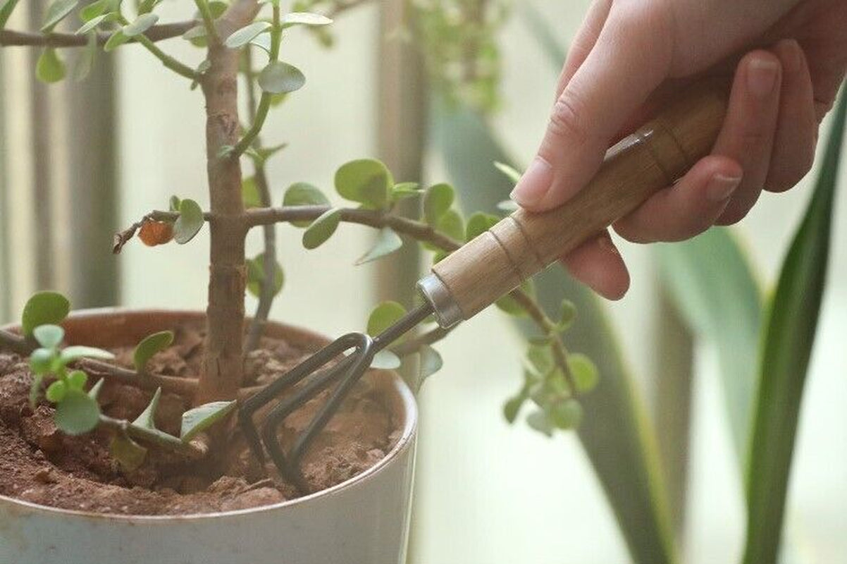 3PCS Mini Plant Garden Tools Home Gardening Tool Kit Spade Rake Shovel Piece Set