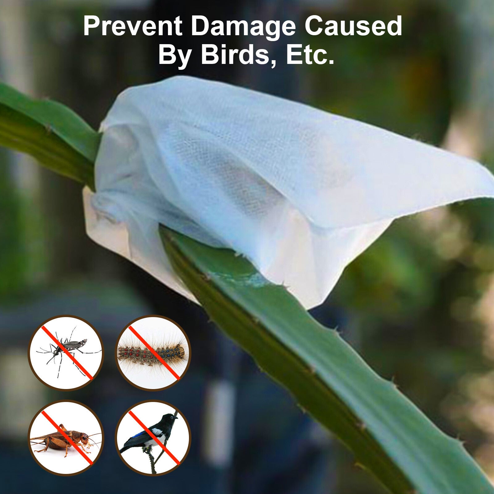 100/200PCS Grape Protection Bags Fruit Vegetable Mesh Bag against Pest Anti-Bird