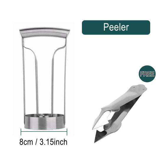 Pineapple Corer Slicer Cutter Eye Peeler Fruit Stainless Steel Tools