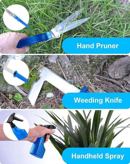 Gardening Tools Set of 10 - Complete Garden Tool Kit for Indoors & Outdoors