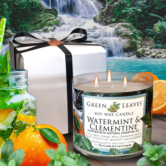 Watermint & Clementine Soy Candle, Spring Candle, Fruity Candle, Summer Candle