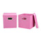 Pink Tote Lids Household Essentials Cube Set with Lids, Pink, 2-Pack