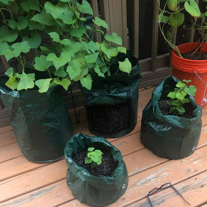 Potato Grow Bags 3-Pack - Waterproof, Reusable Plant Pots with Harvest Window & Handles for Easy Moving - Ideal for Vegetables, Fruits & Flowers