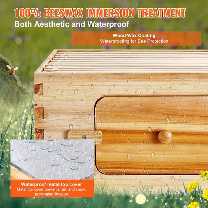 Langstroth Bee Hive Starter Kit, Beekeeping Hive with Transparent Bee Windows & Beeswax Coated Cedar Wood – 20 Frame Durable Outdoor Bee Box 