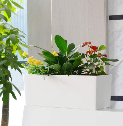 Self Watering Planter Box 20" – Indoor Outdoor Rectangle Pot with Coco Coir Soil, Water Level Indicator, Modern Decorative Flower & Herb Garden