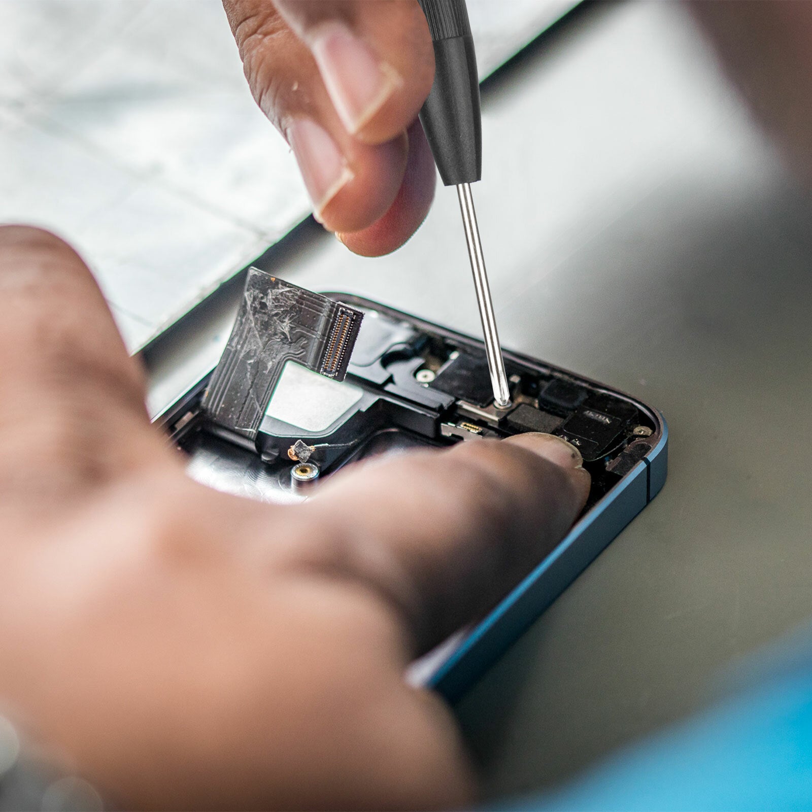 Eyeglass Screws Nut Nose Pads Screwdriver Watch Glasses Optical Repair Tools Kit