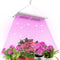 Grow Light RW600 Full Spectrum LED for Indoor Plant Growth Coverage Area