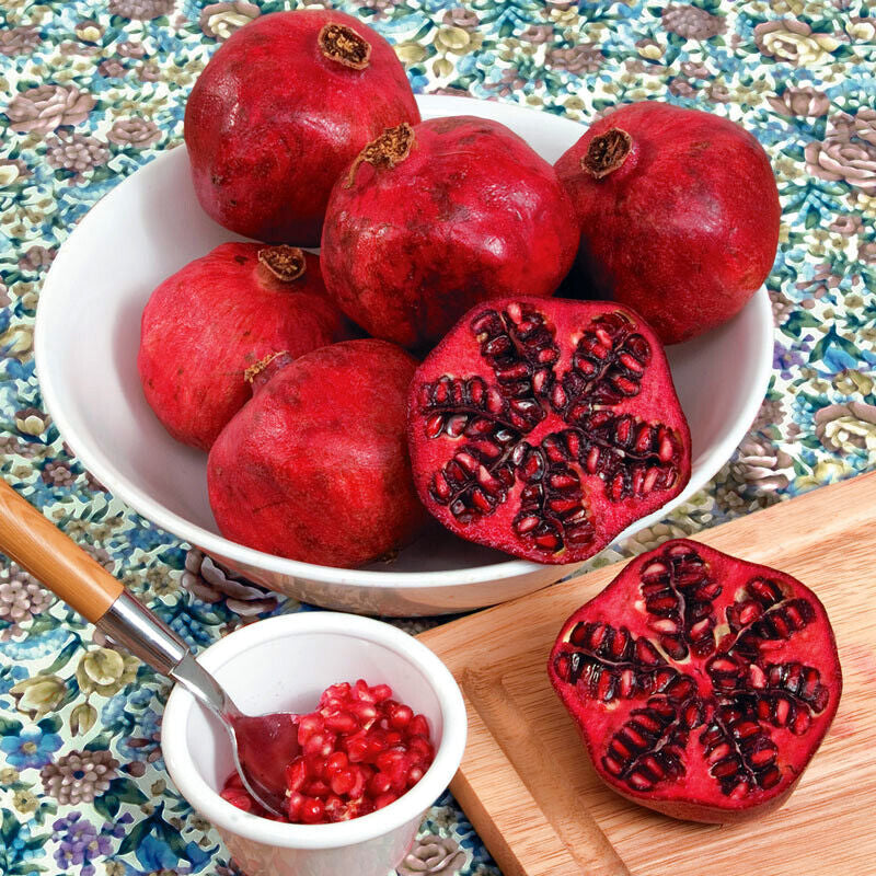 Pomegranate seeds, Dwarf Pomegranate Shrub for Containers & Bonsai - Vibrant Orange-Red Flowers & Fruit, Dry Climates, Perfect for Small Gardens