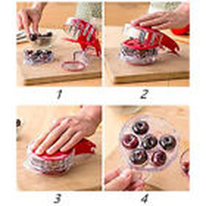 Pitter Stone Seed Remover Cherry Olive Pits Tool Kitchen Corer Fruit Core Stoner