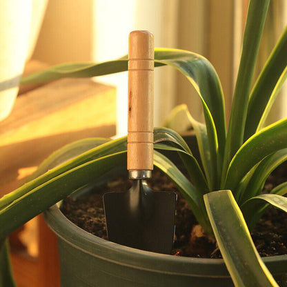 3PCS Mini Plant Garden Tools Home Gardening Tool Kit Spade Rake Shovel Piece Set