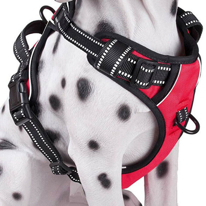 Adjustable Pet Harness | Soft Safety Control Vest for Cats & Dogs | Lightweight, Breathable Strap for Walking, Running & Outdoor Adventures