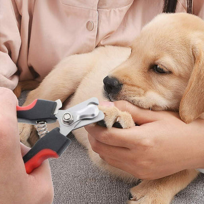 Pet Nail Clippers & File Set - Safe Stainless Steel Trimmer for Dogs Cats, Birds, Anti-Slip Handle, Safety Guard for All Pet Sizes, Easy Grooming Tool