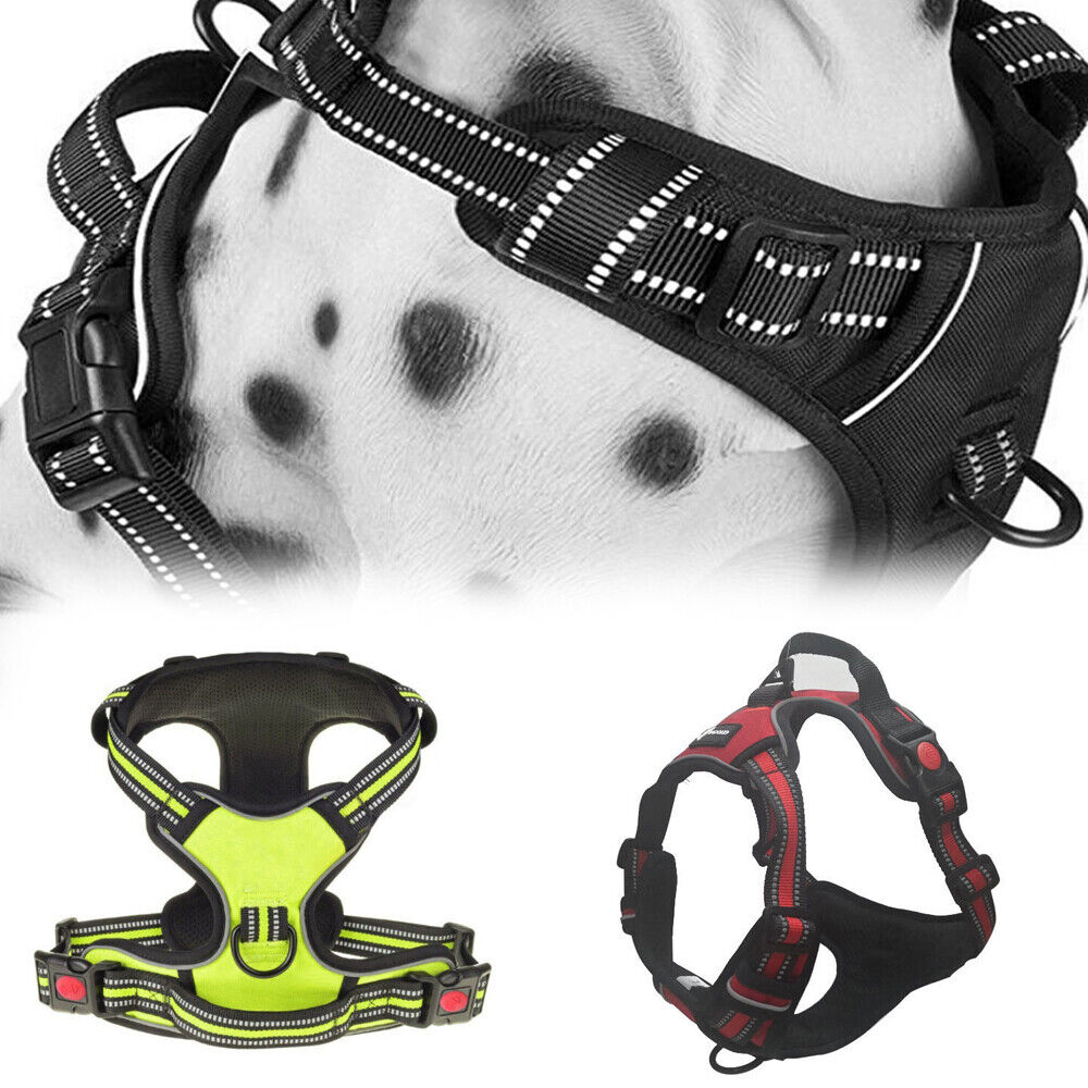 Adjustable Pet Harness | Soft Safety Control Vest for Cats & Dogs | Lightweight, Breathable Strap for Walking, Running & Outdoor Adventures