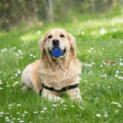 Interactive Dog Ball Toy Indestructible Tough Durable Stick for Large Medium Dog