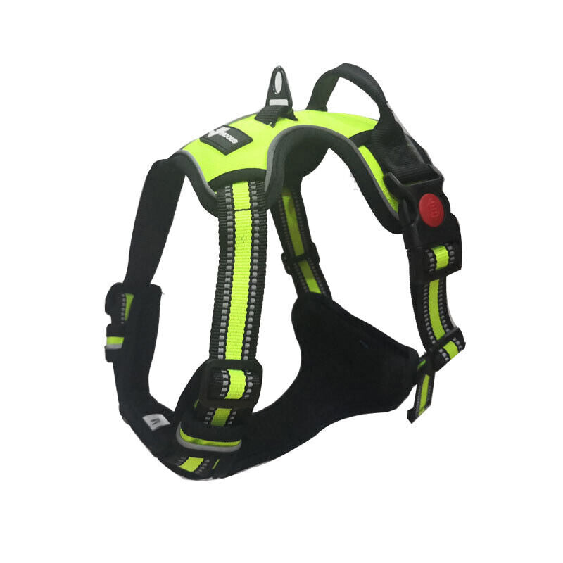 Adjustable Pet Harness | Soft Safety Control Vest for Cats & Dogs | Lightweight, Breathable Strap for Walking, Running & Outdoor Adventures